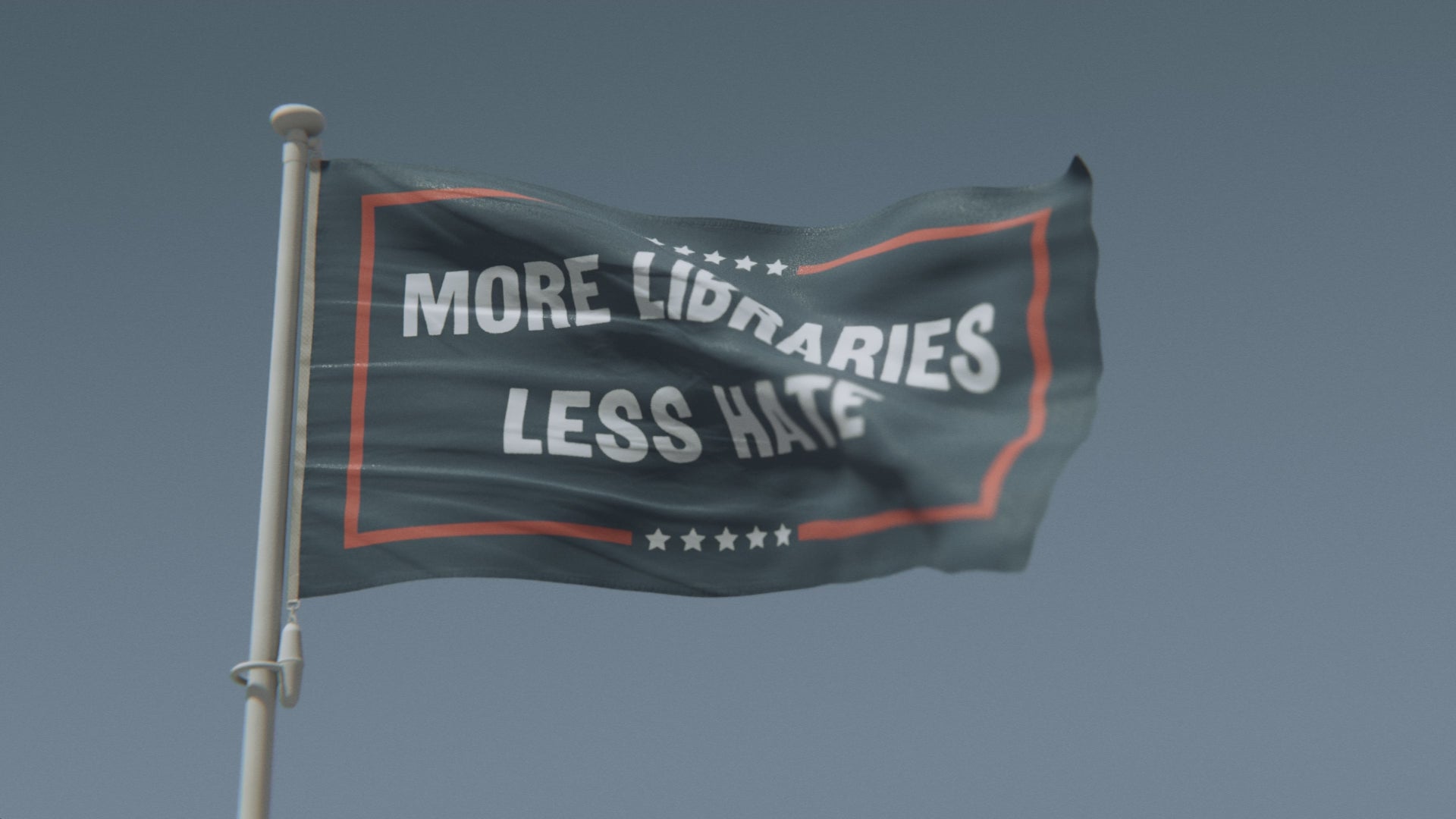 Load video: More Libraries Less Hate Political Flag