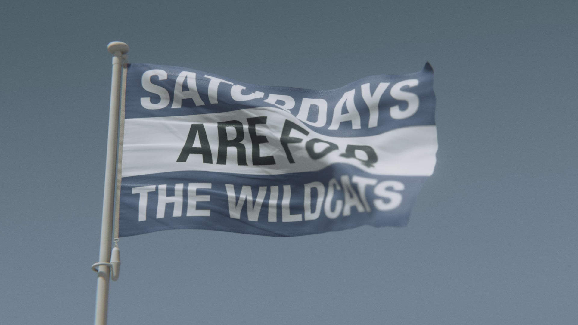Load video: Saturdays Are for the Wildcats Kentucky Flag
