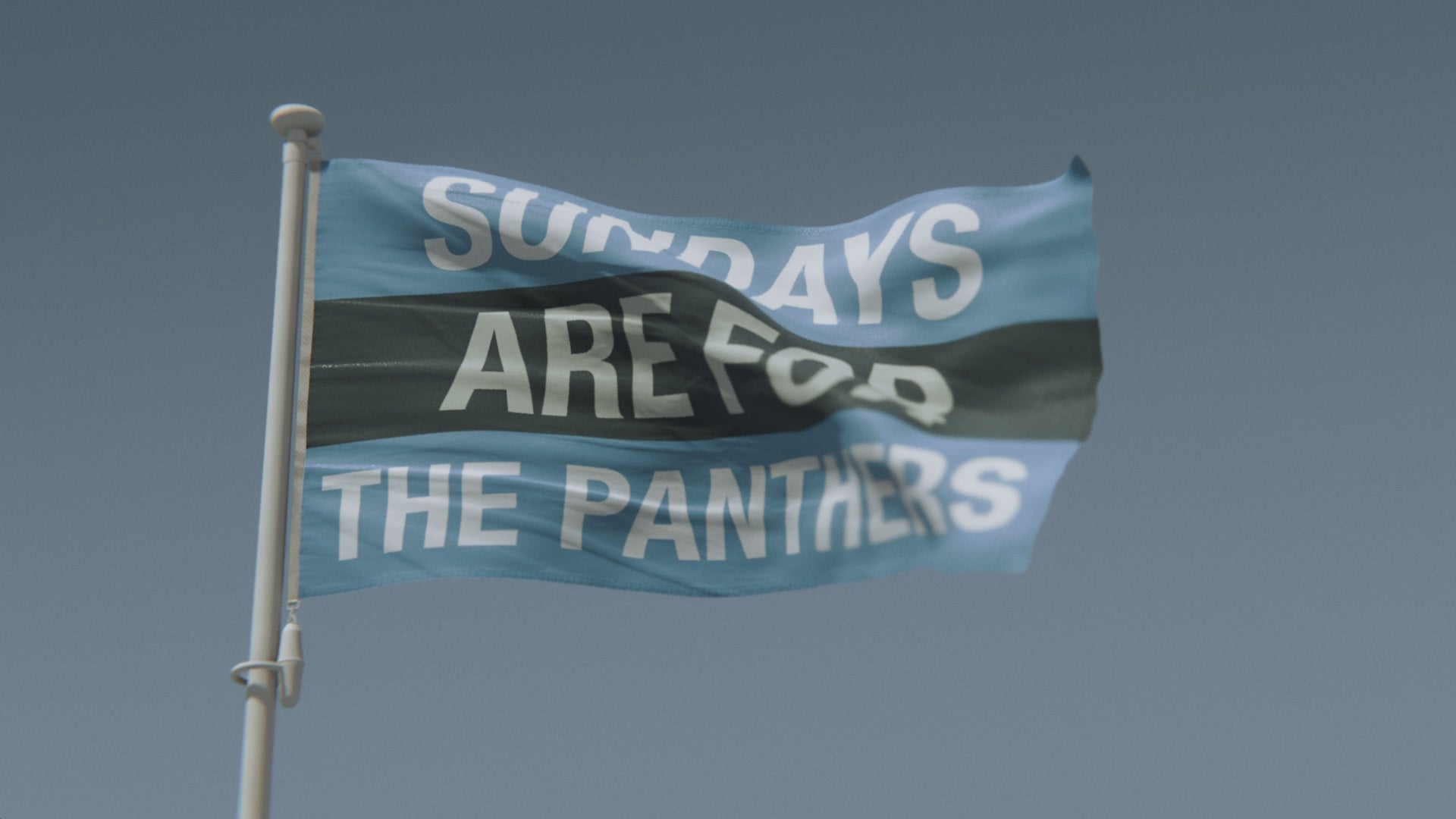 Load video: Sundays Are for the Panthers Flag