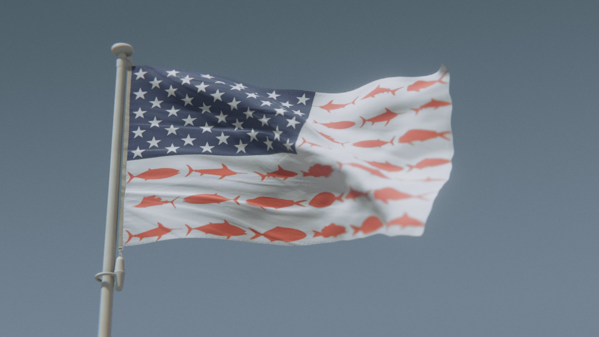 Cargar vídeo: Bandera estadounidense con rayas de pescado