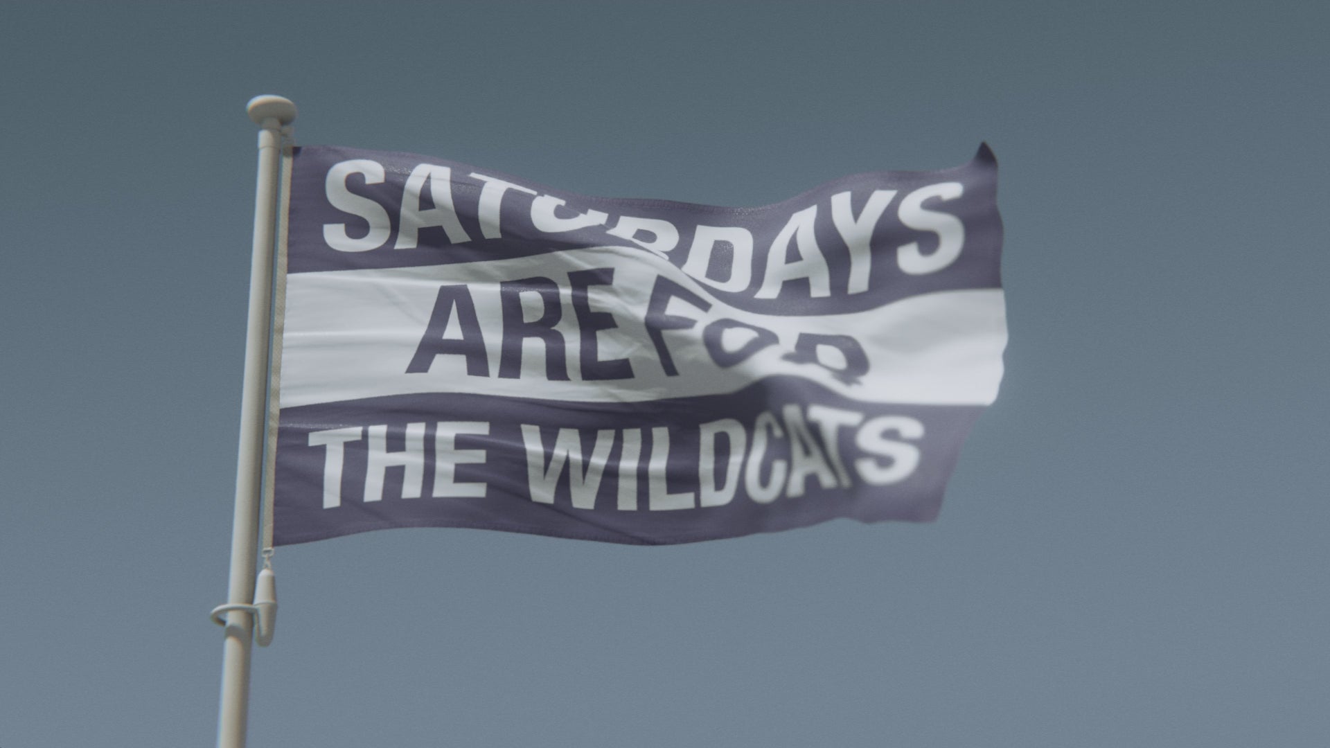 Load video: Saturdays Are for the Wildcats Northwestern Flag