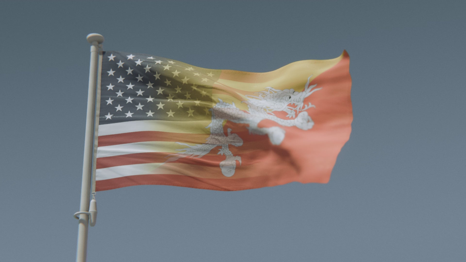 Load video: Bhutia American Hybrid Flag