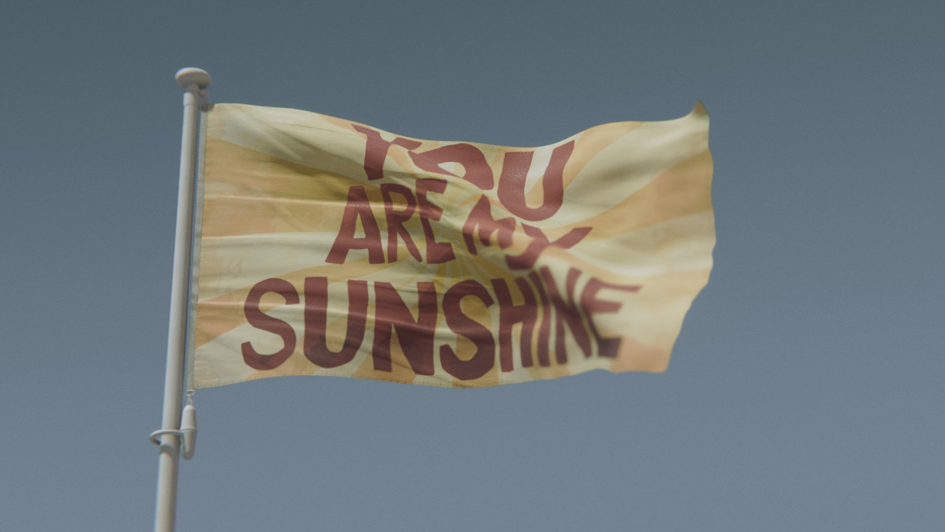 Load video: You Are My Sunshine Flag