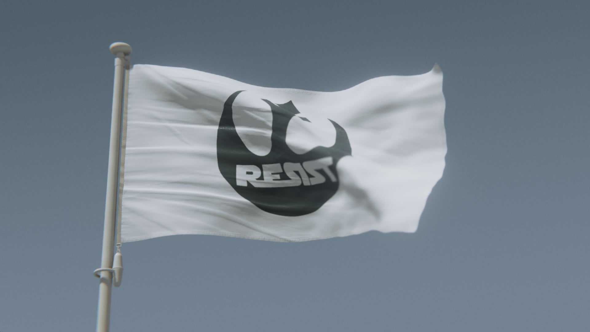 Load video: Star Wars Rebel Alliance Resist Flag (White)