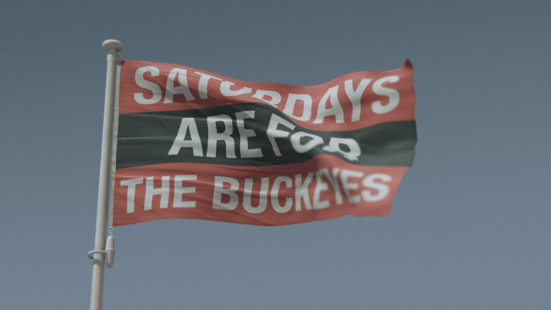 Load video: Saturdays Are for the Buckeyes Flag