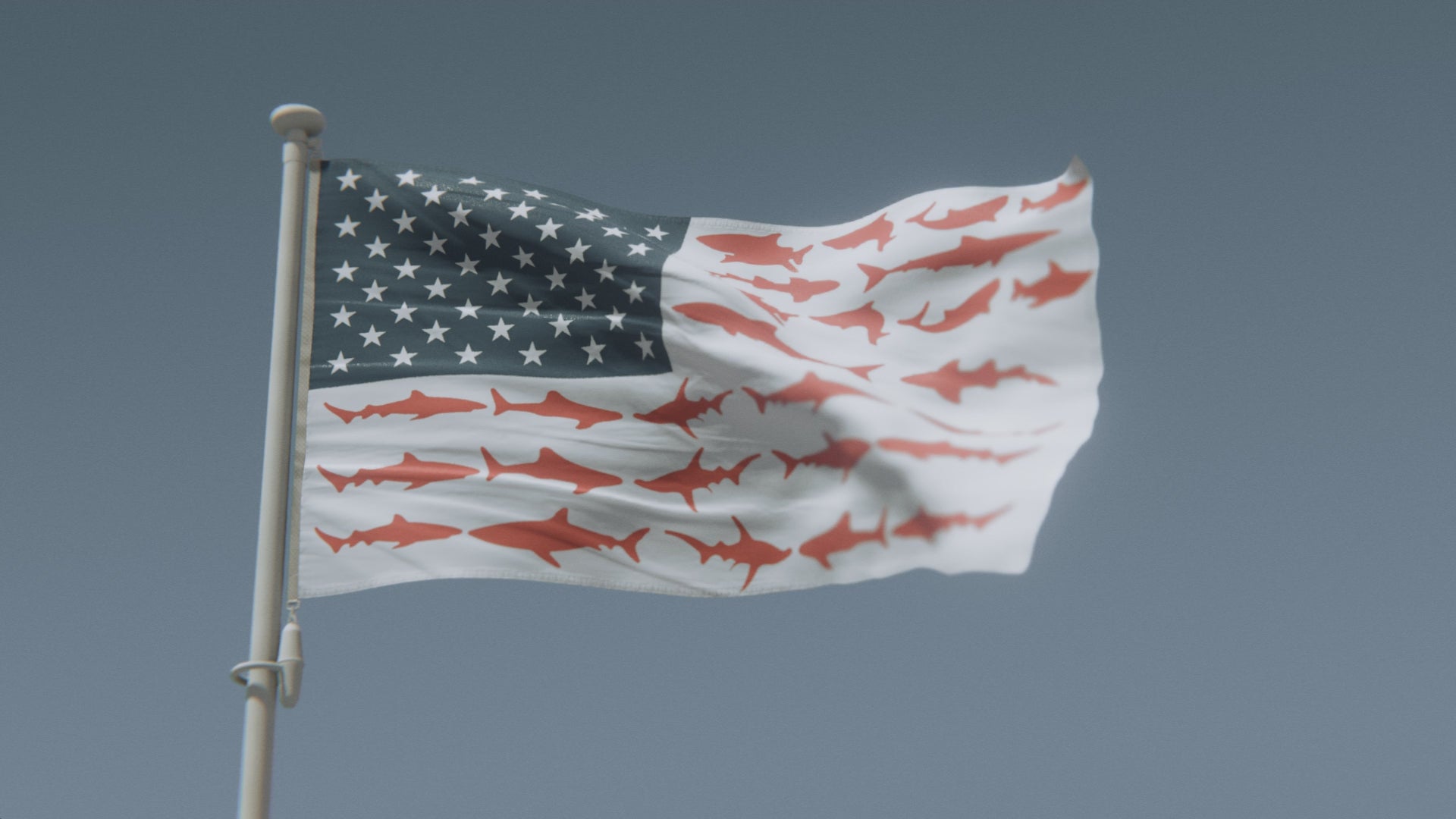 Load video: Shark Stripes American Flag