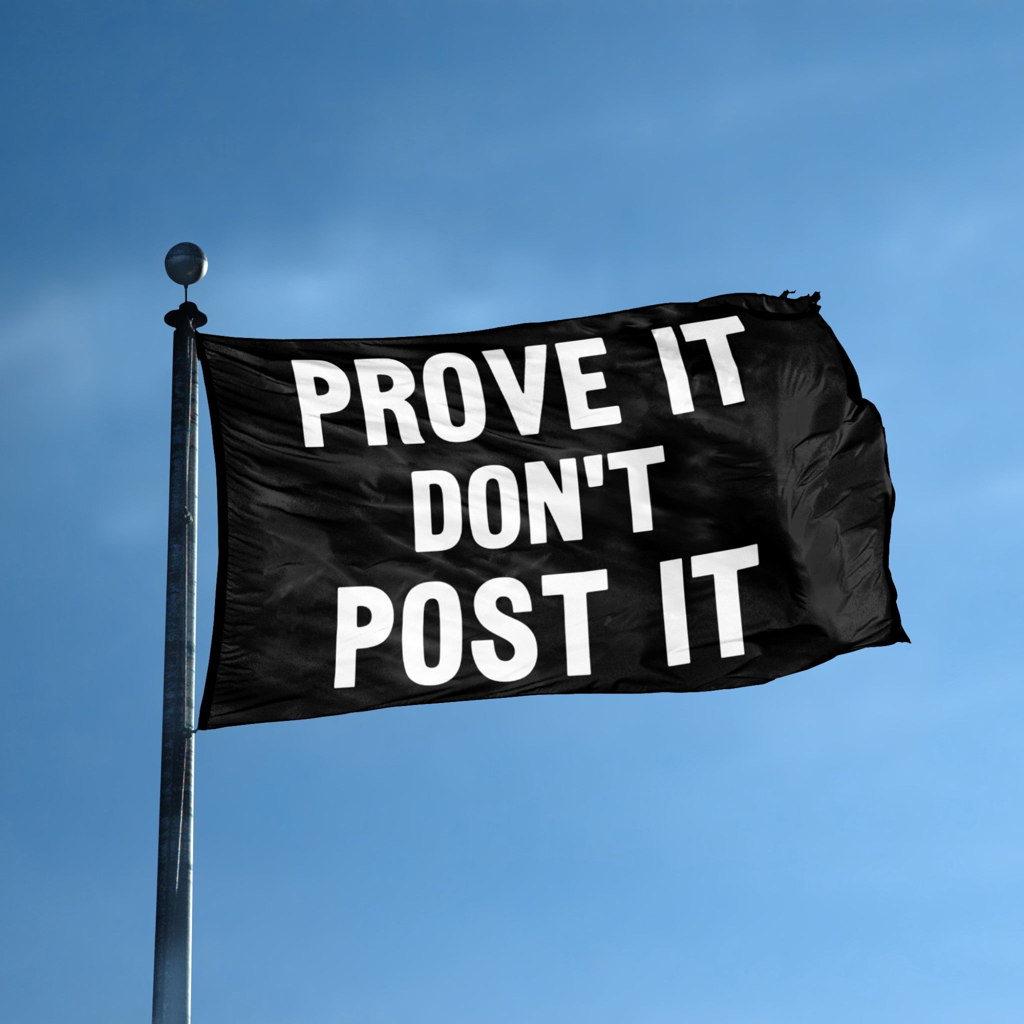 Prove It Don't Post It flag displayed outdoors – weatherproof house banner on pole | Bannerfi