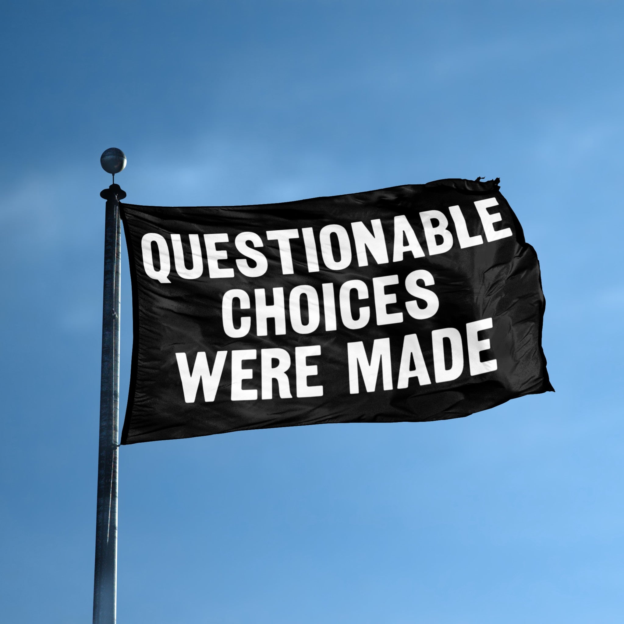 Questionable Choices Were Made flag displayed outdoors – weatherproof house banner on pole | Bannerfi