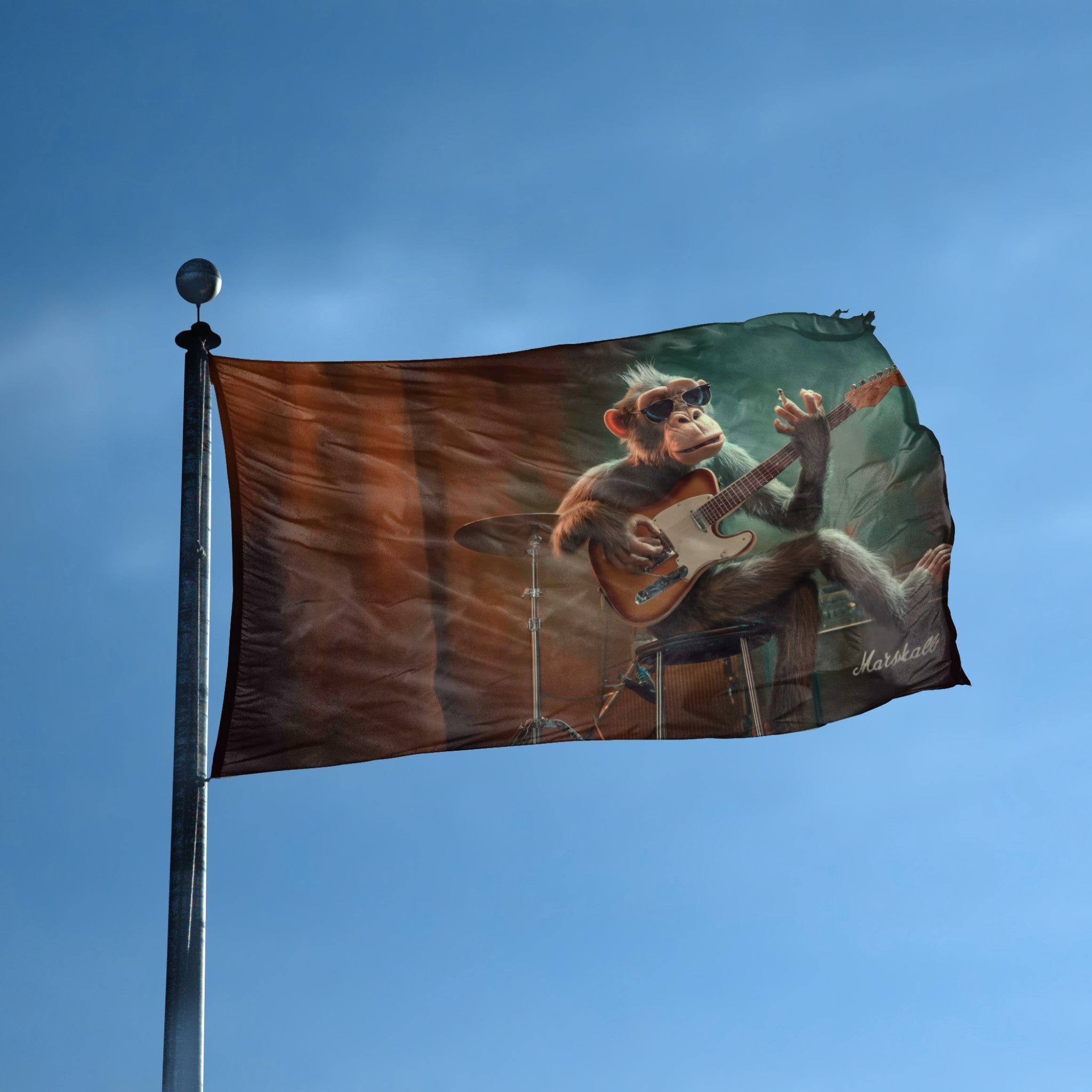 Rock Band Monkey Flag