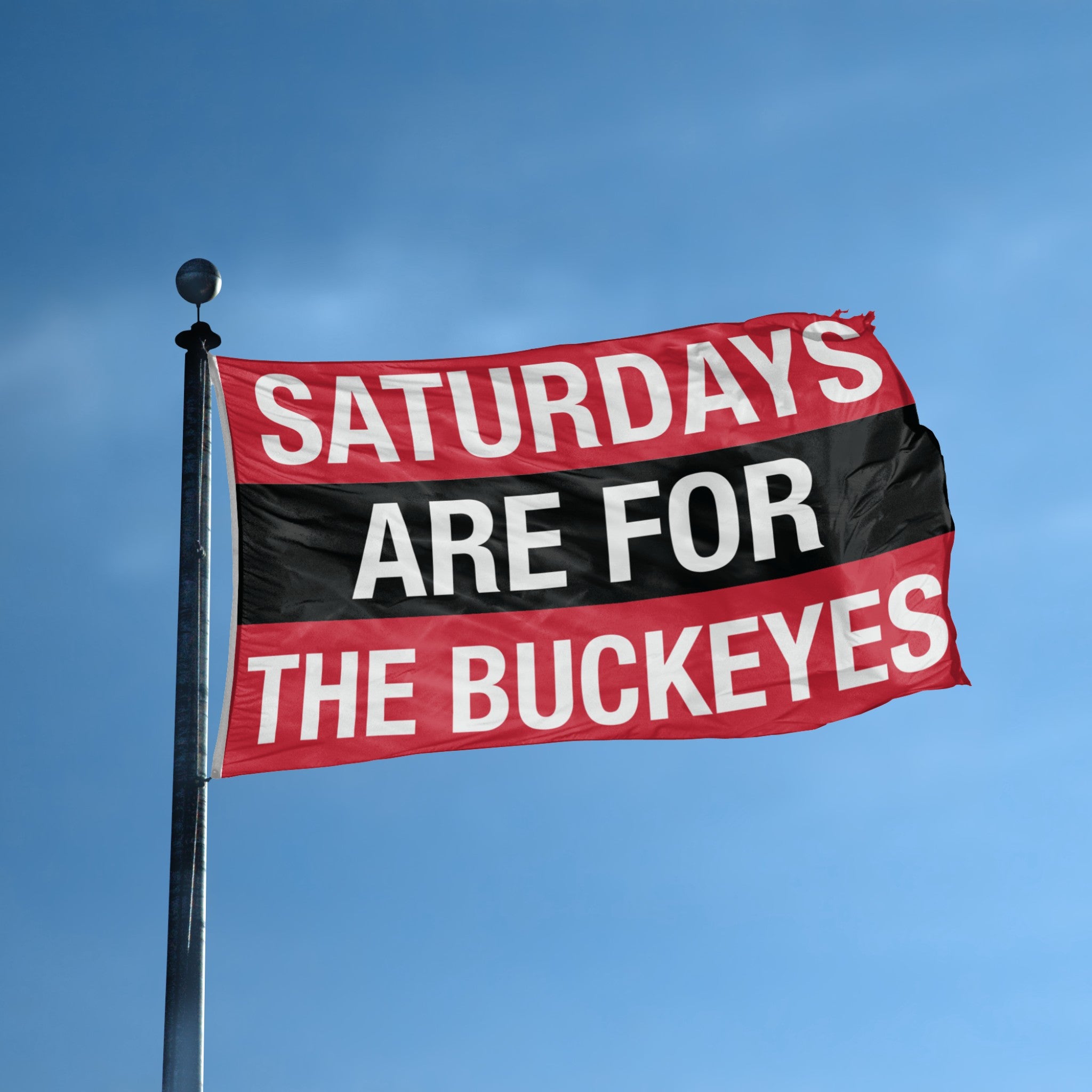Flag with 'Saturdays are for the Buckeyes' text against a blue sky