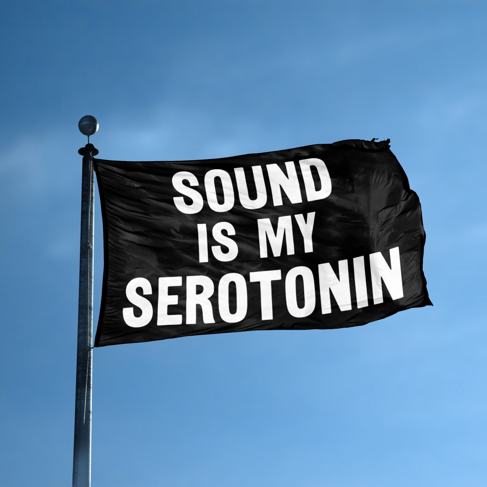 Sound Is My Serotonin Flag