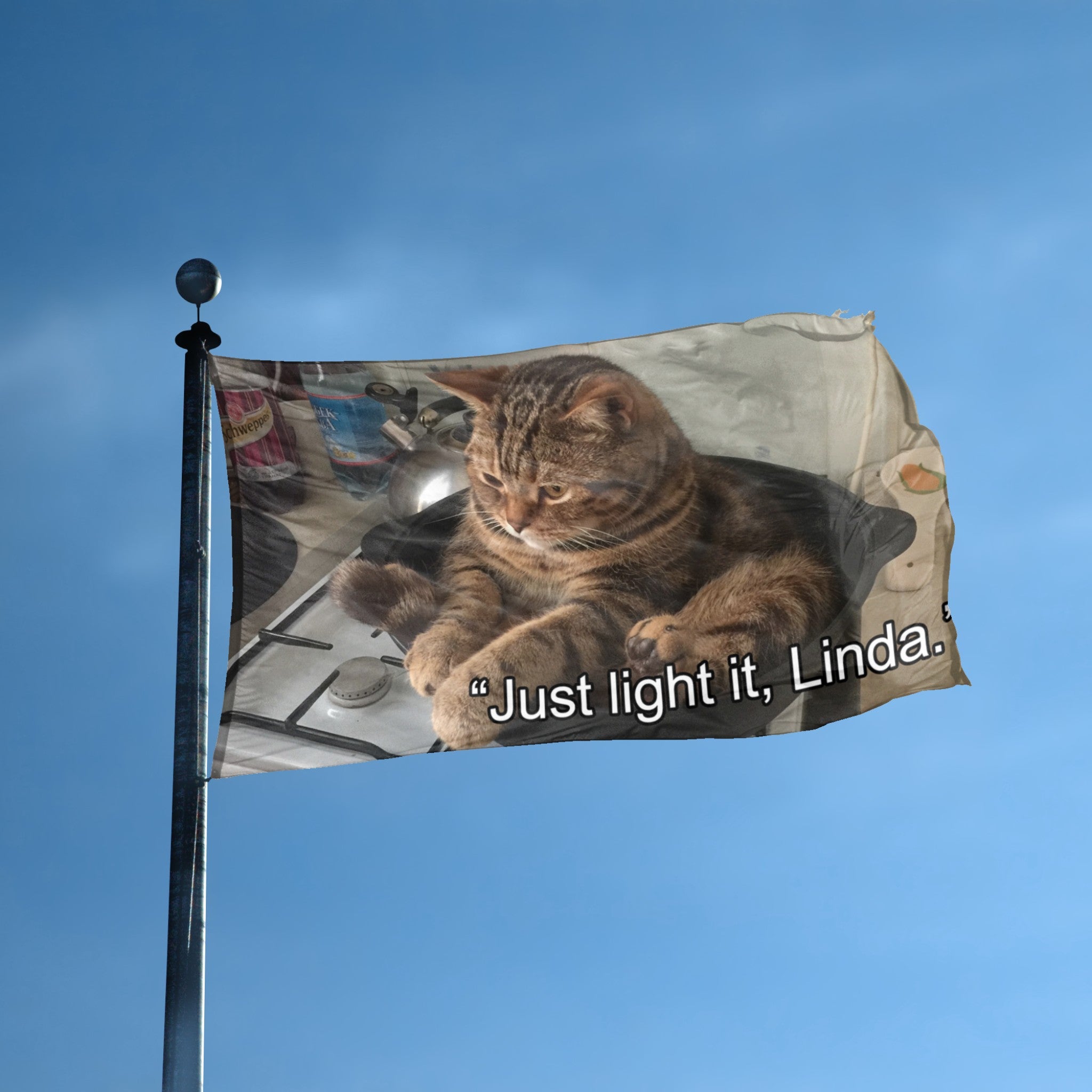 A flag with the theme "Stove Top Kitty Just Light It Linda Meme" displayed on a tall flag pole and blue skies.