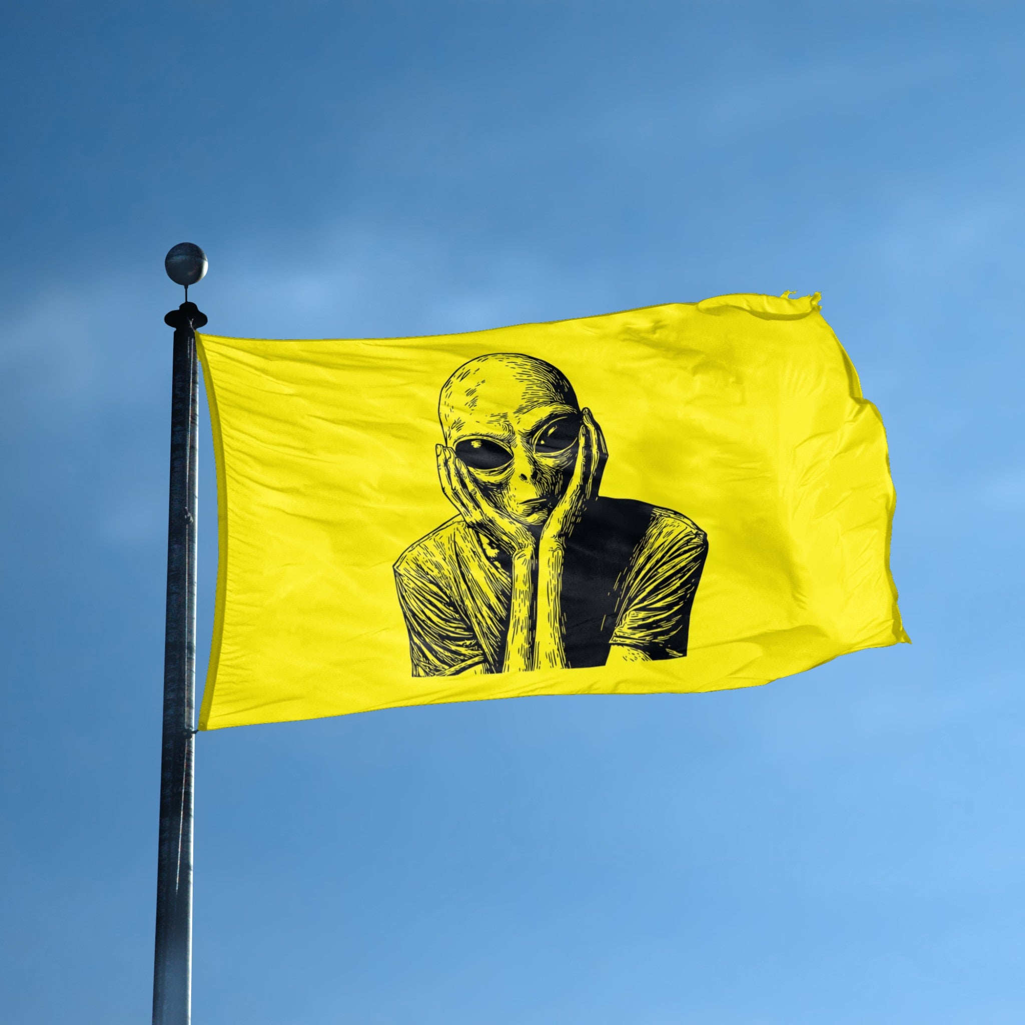 Thinking About You Alien Pop Art Flag