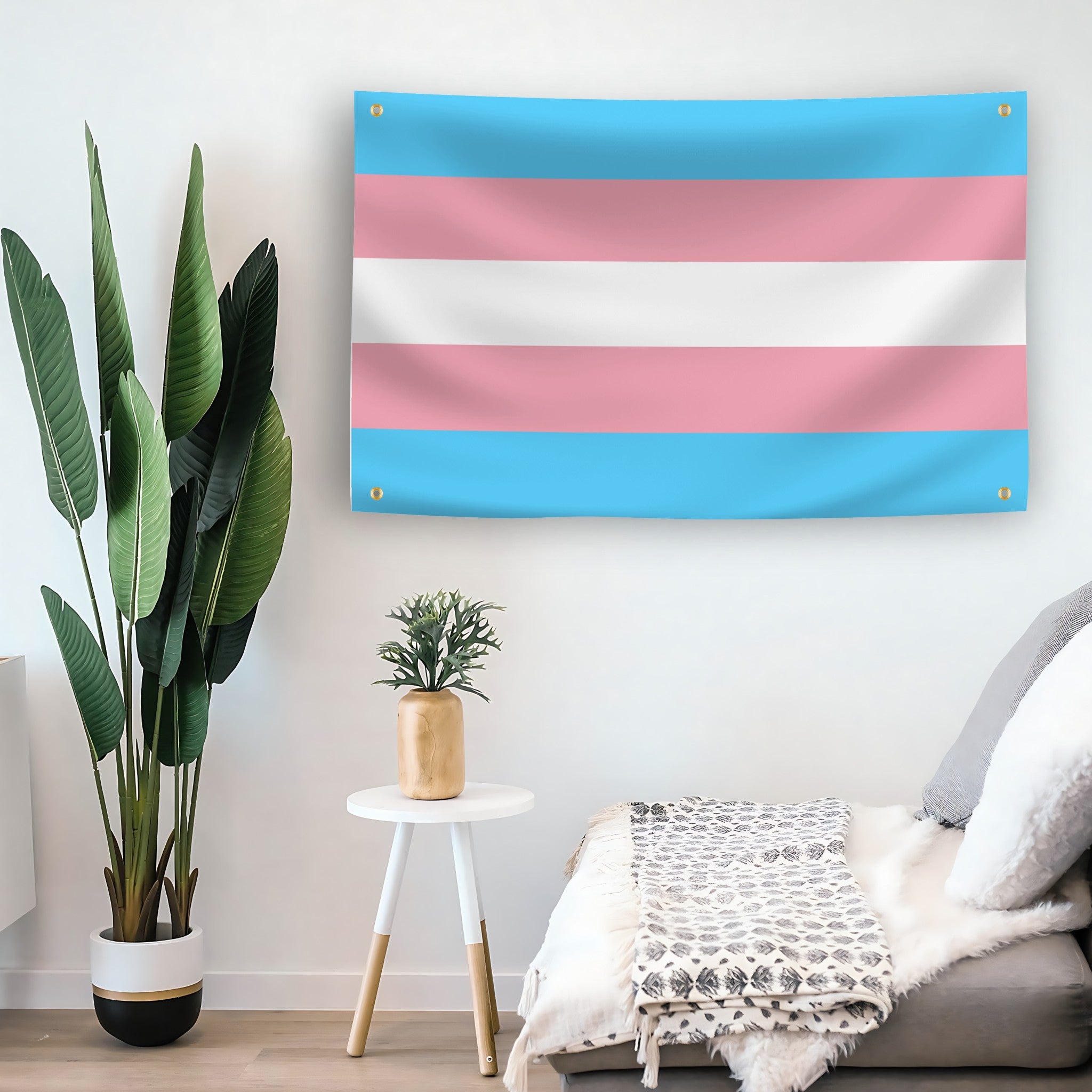 Transgender pride flag hanging on a wall in a room with plants and furniture.