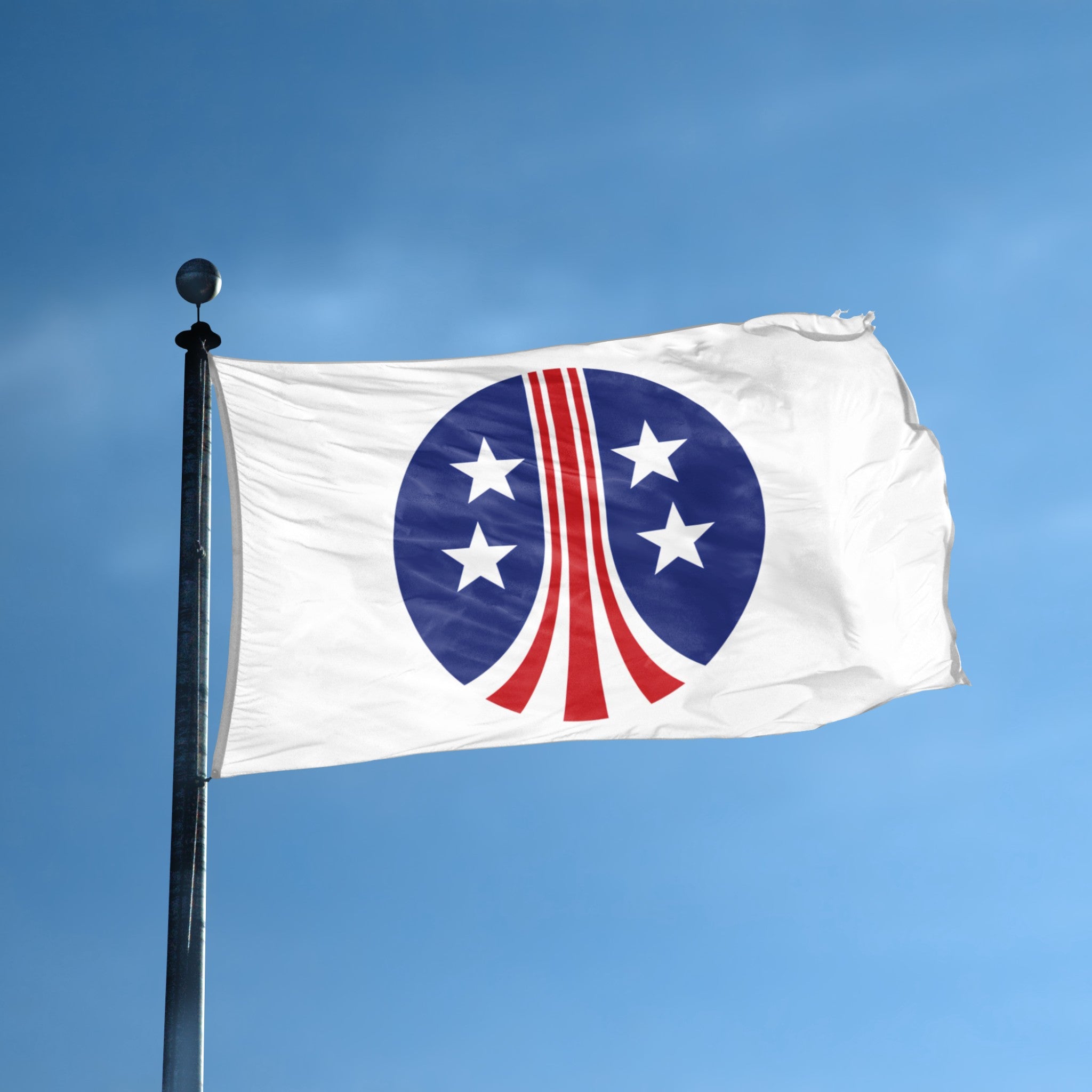 Aliens USCM Flag on a flagpole