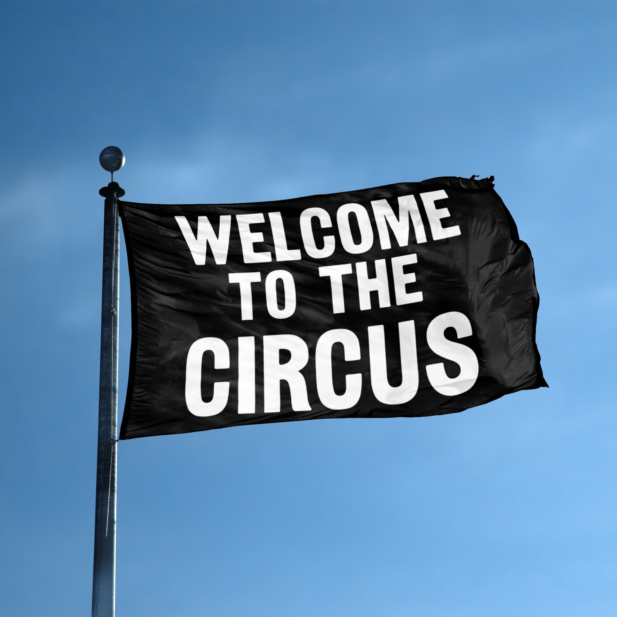 Welcome To The Circus Flag