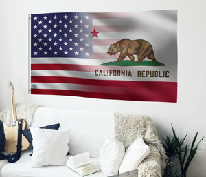 a flag hanging on the wall of a living room