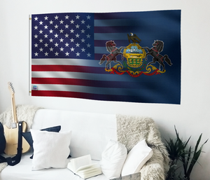 a living room with a guitar and a flag