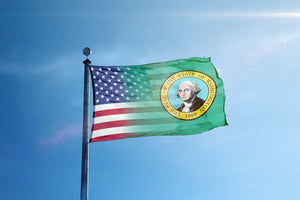 a flag with a picture of george washington on it