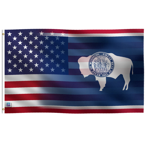 an american flag with a bison on it