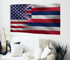 a living room with a guitar and a flag on the wall
