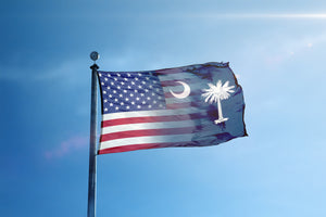 a flag with a palm tree on it flying in the sky