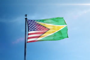 Guyanese American Hybrid Flag