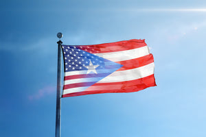 Puerto Rican American Hybrid Flag