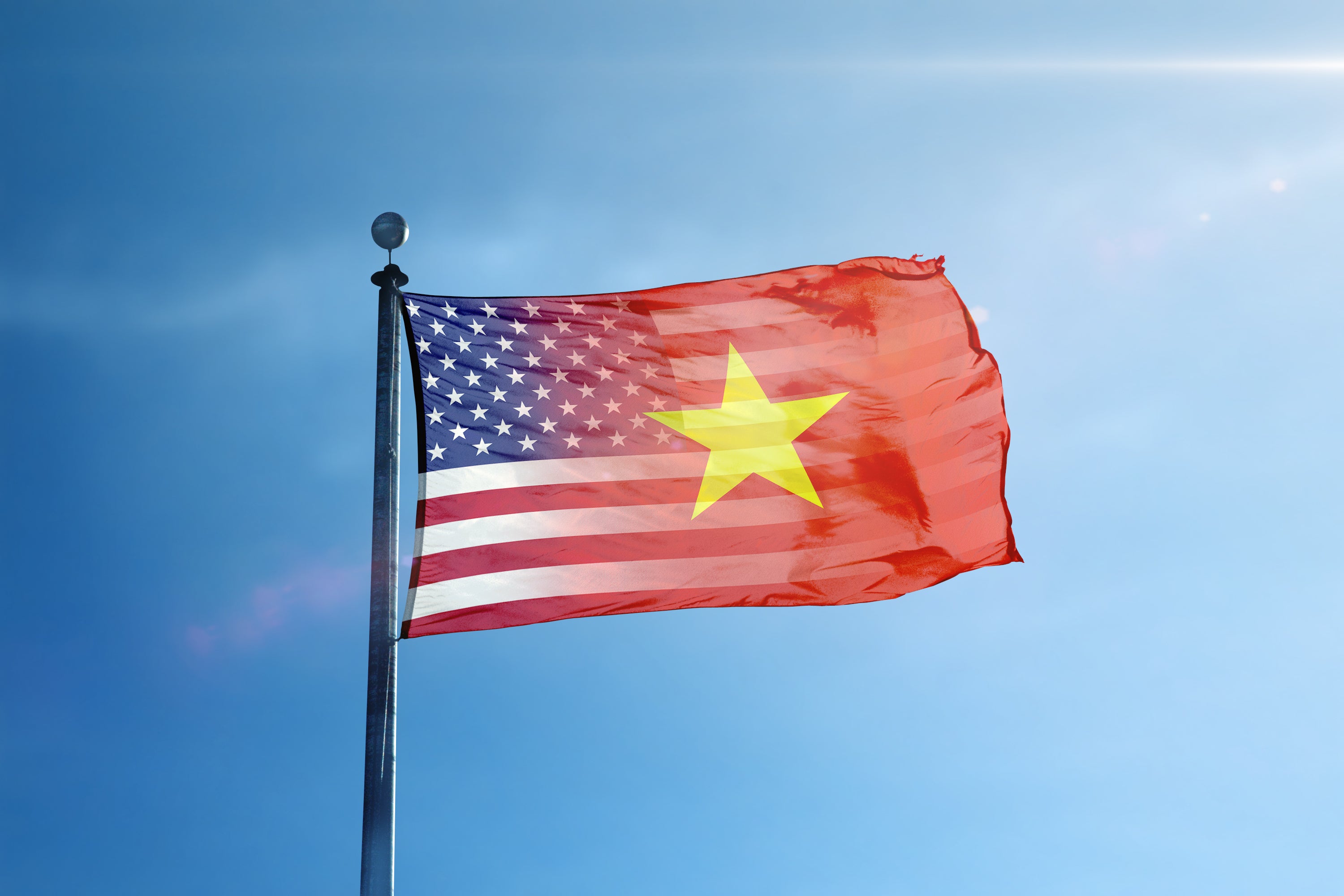 Vietnamese American Hybrid Flag